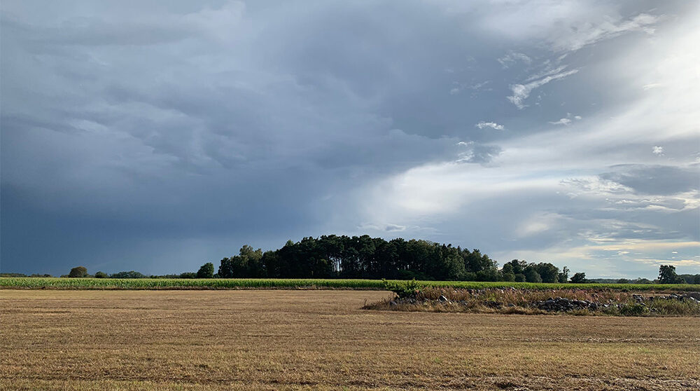 Odlingslandskap på Öland.